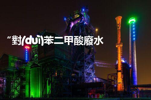 “對(duì)苯二甲酸廢水處理，綠色創(chuàng)新引領(lǐng)環(huán)保新篇章”